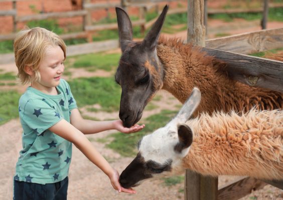 Ausflugsziele mit Kindern in Rosenheim